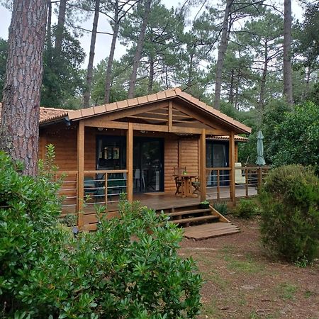 Chalet La Lande Ondres Zewnętrze zdjęcie